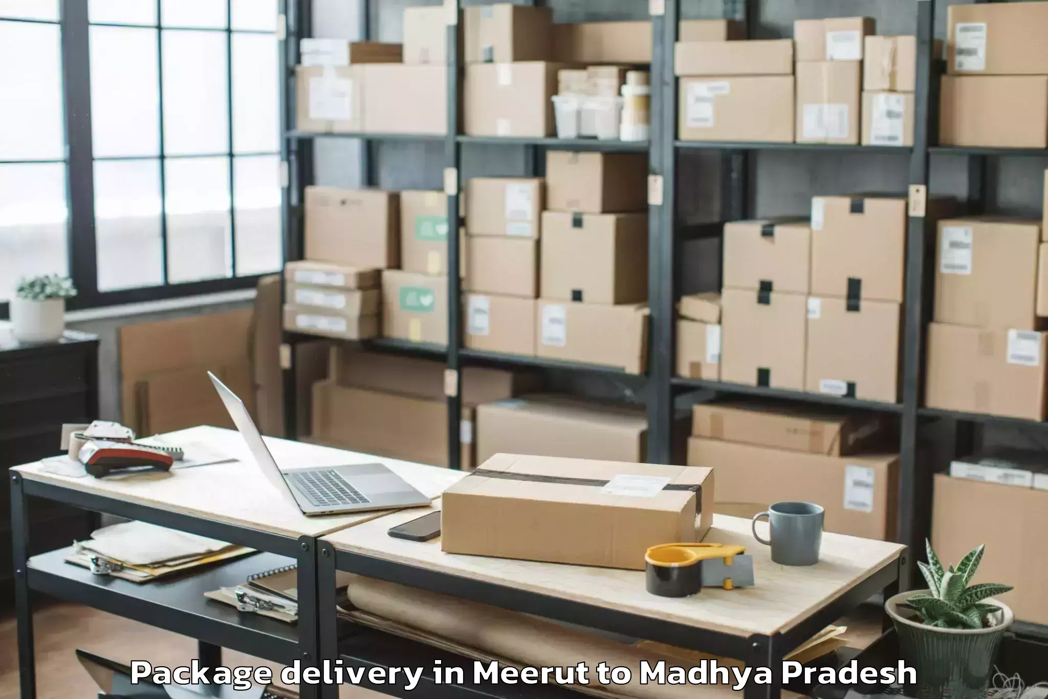 Easy Meerut to Goharganj Package Delivery Booking